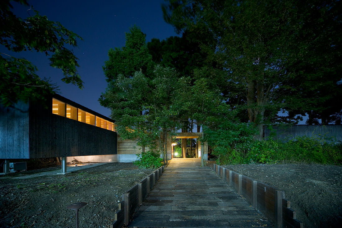 森を奔る回廊　夜景